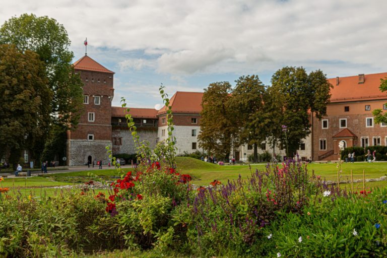 a garden with flowers and trees